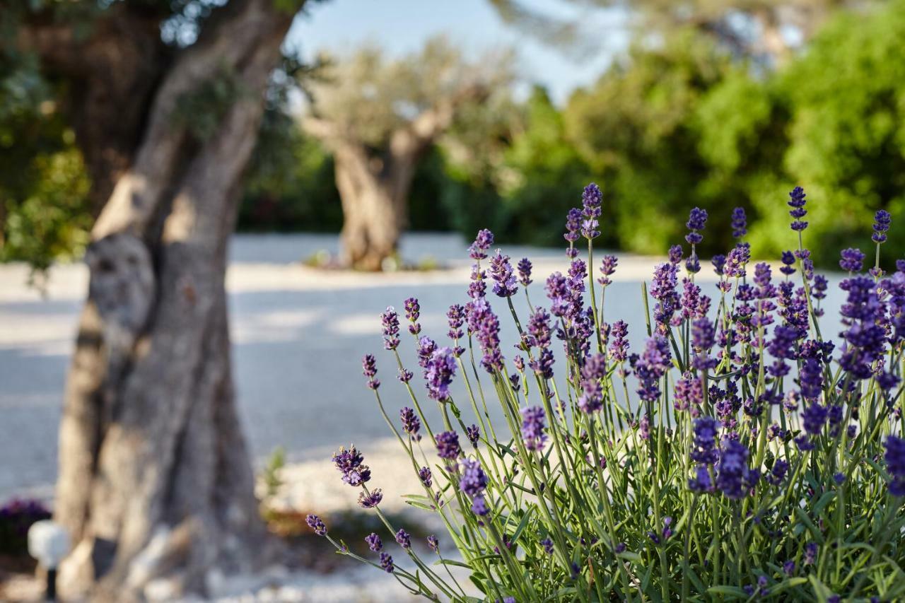 Agapanto Masseria Bed and Breakfast Conversano Eksteriør billede